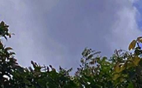 �����������簲˵˵90��