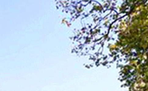 午安说说50句精选