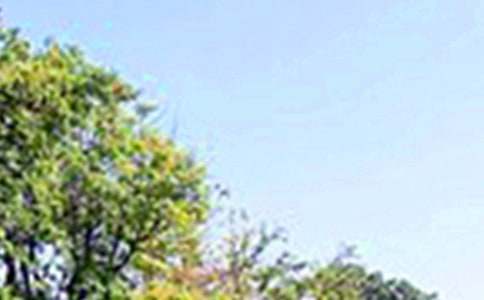 ��ܰ�簲ף���ͨ��100�䣩