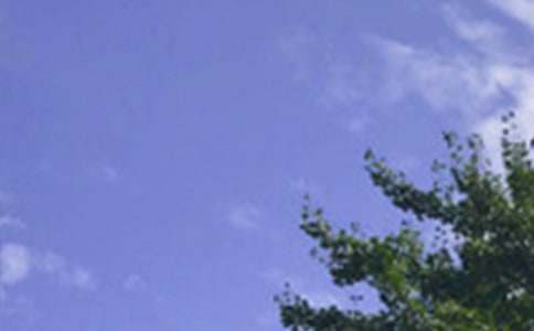 2021����־�簲��¼����43��