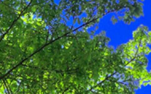 简短的午安祝福语