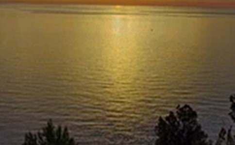 正能量午安语录15篇