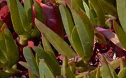 ���������簲˵˵40��