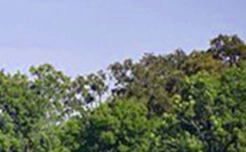 ������ܰ�簲ף������ܣ�ͨ��70�䣩