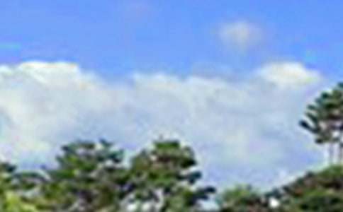 经典暖心午安说说大全50句精选