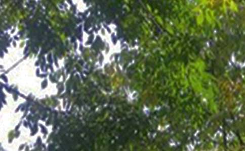 经典唯美午安祝福语汇总(通用90句)