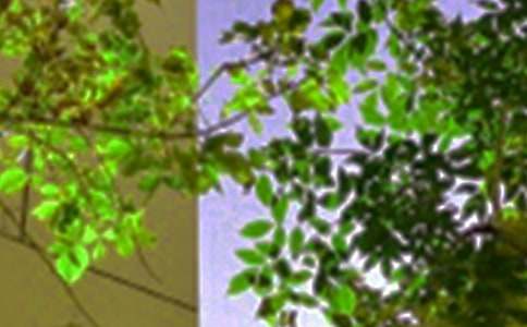 ��־�簲˵˵���ܣ���ѡ90�䣩