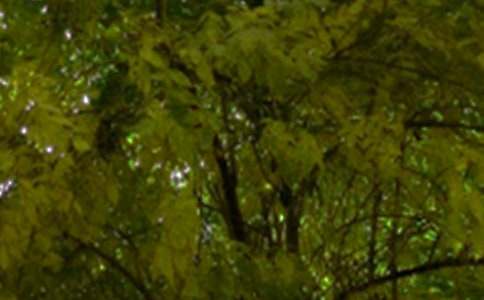 ������־�簲˵˵��ȫ70��