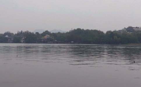 ����˵�θ�