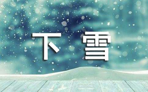下雪天日记
