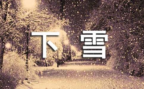 实用的下雪日记