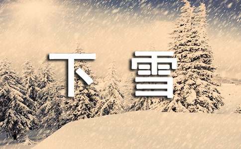 下雪了教案合集5篇