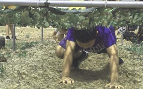 难忘夏令营日记