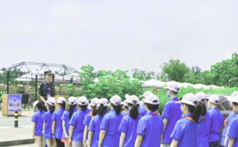 关于夏令营的日记锦集8篇