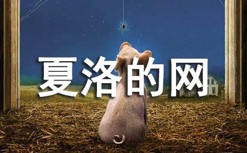 ������������15ƪ