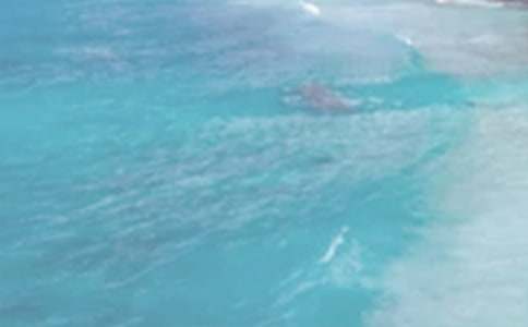 ���ճ�������