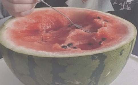 ������������ܽ�15ƪ[����]