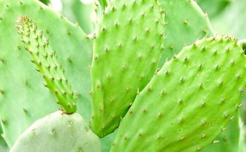 ��ʵ�á������ƹ۲��ռ���ƪ