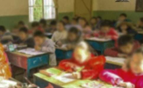 美丽的乡村小学作文