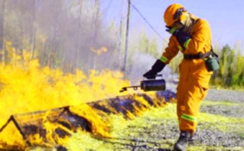 ������������ȫ������ܽ�