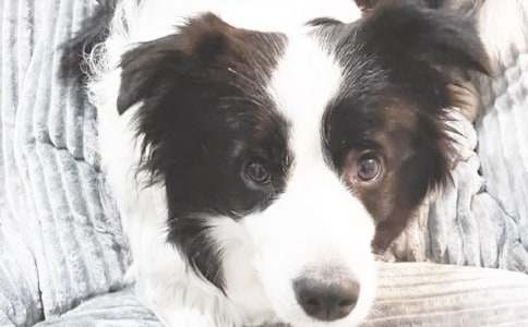 дС�����ռ�