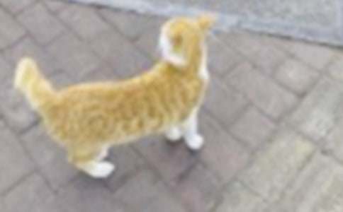 СèСѧ����400�ּ��ϰ�ƪ