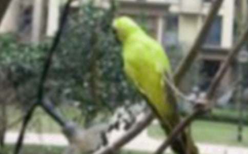 ����С�񡷽̰����