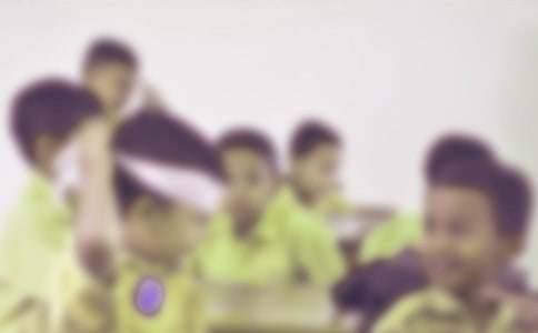 ����Сѧ���ĺ����ռǽ���6ƪ