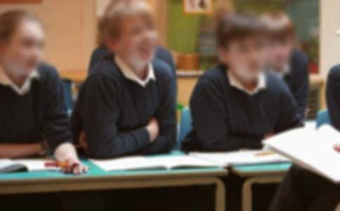 �����š�Сѧ�������ռǽ���5ƪ