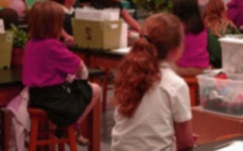 ����Сѧ�����ҽ���15ƪ