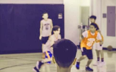 ����ѡ��Сѧ������ռǻ���ʮƪ