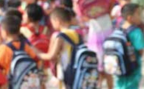 ����Ʒ��Сѧ�������ռ�ģ�������ƪ