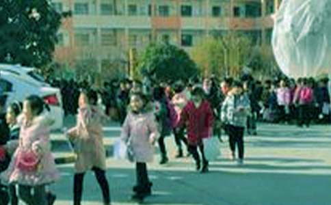 【精华】小学生的日记范文汇总7篇