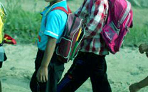 【热门】小学生的日记锦集6篇