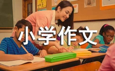 小学作文600字10篇