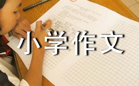 小学作文:我喜欢的小动物15篇