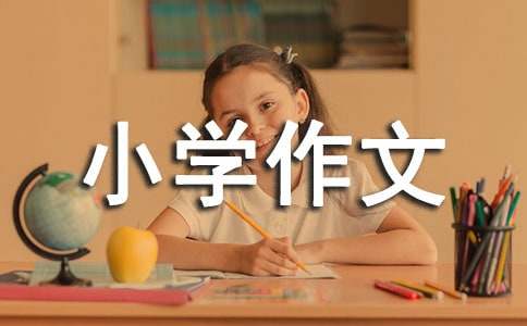 惊喜小学作文