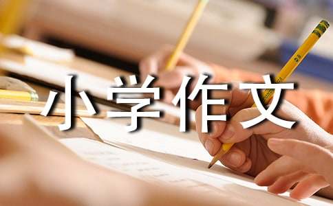 难忘的第一次小学作文