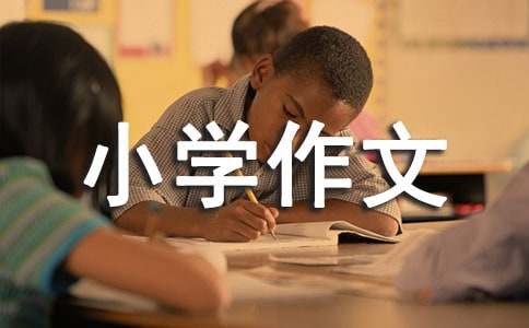买书小学作文