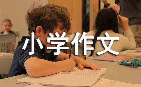 过年小学作文(集锦15篇)