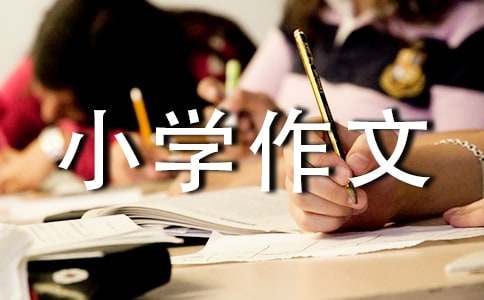 以爱为话题【小学作文】8篇
