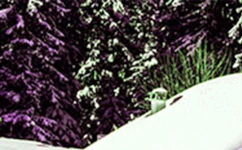 Сѩ�����Ľ̰���ͨ��7ƪ��