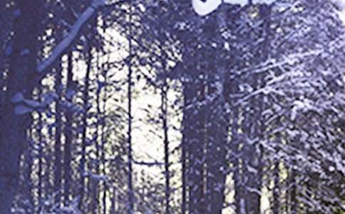 小雪节气的说说心情短语