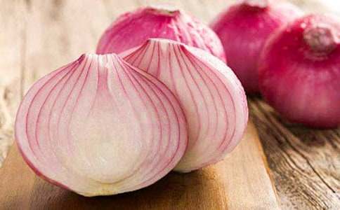 �����ͷ���ռǡ������(��ѡ15ƪ)