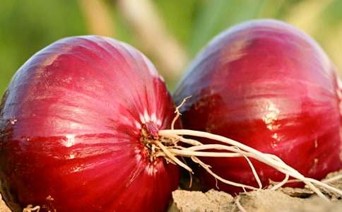 [�ϼ�]�����ͷ���ռǡ������