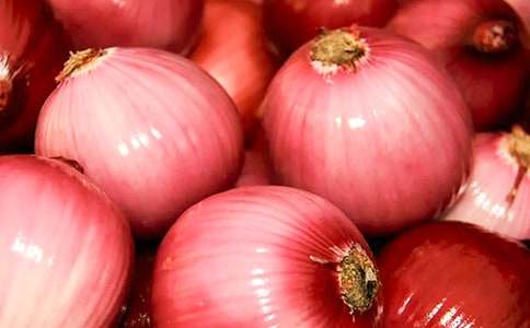 ���ͷ���ռǶ����(����15ƪ)