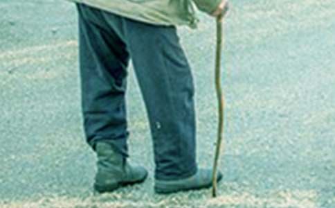 үү��Сѧ�ռǣ���ѡ20ƪ��