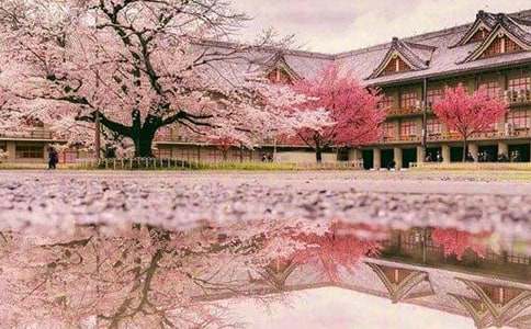 �۲�ӣ���ռ�