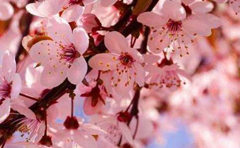 ӣ����������