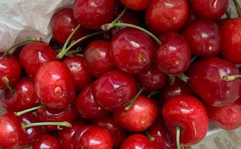 外公是棵樱桃树读后感集锦15篇